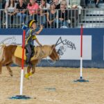 2022-10 - Equita Lyon - Pony games - 091